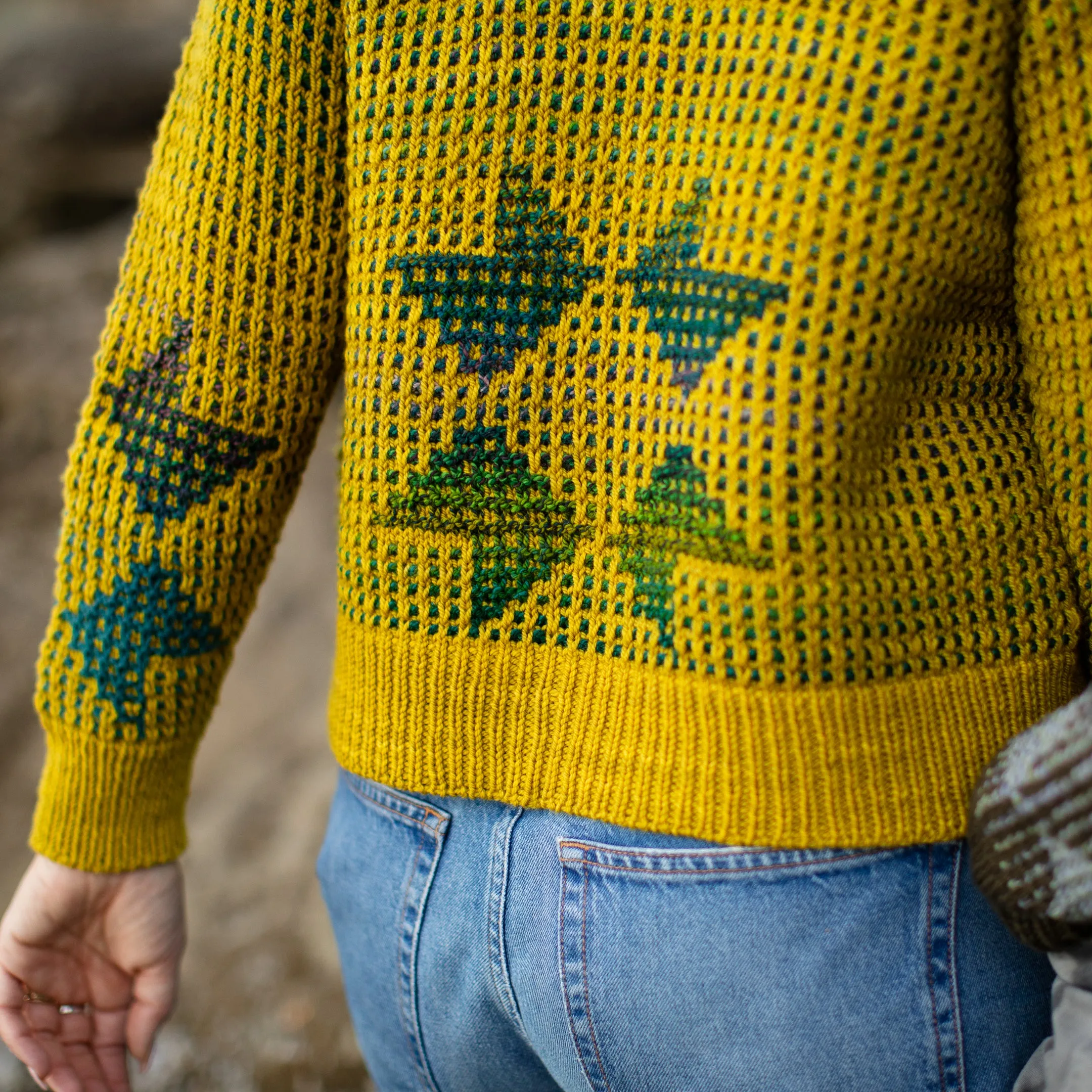 Paulie Cardigan